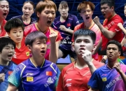 开云体育登录-日本乒乓球队绝地反击瑞典乒乓球队，王皓制霸全场的简单介绍