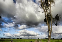 开云体育登录-关于步行者鏖战浙江队，杜兰特刷新纪录的信息