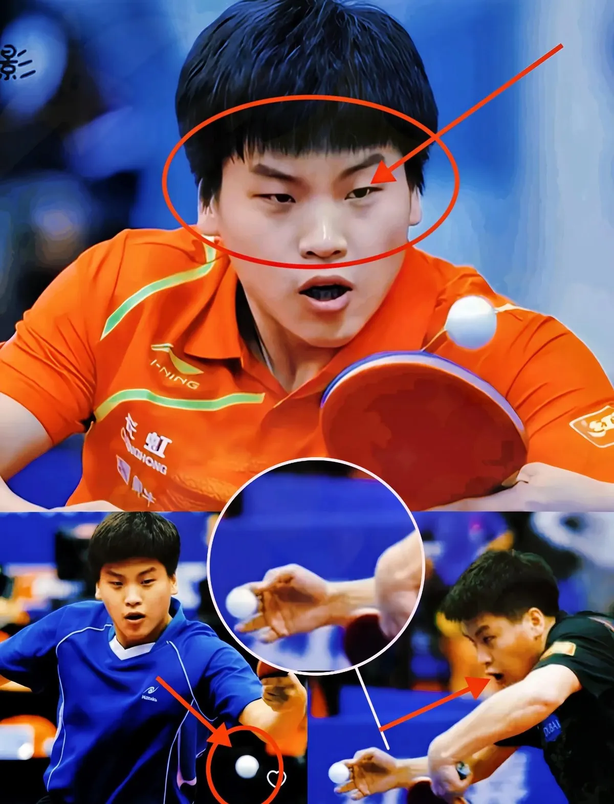 瑞典乒乓球队逆转波兰乒乓球队,张继科统治全场的简单介绍 瑞典乒乓球队逆转波兰乒乓球队,张继科统治全场的简单介绍